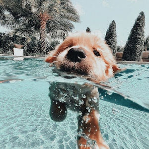 Meet your Posher, Ainsley